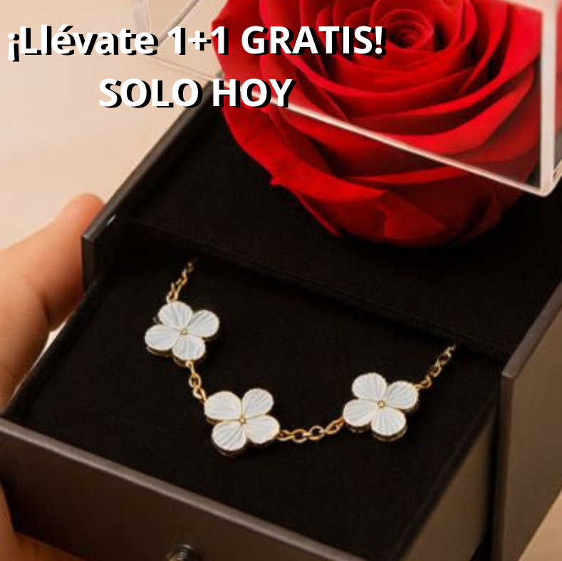 Un gesto de amor, DOS PULSERAS para recordarlo cada día